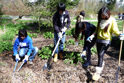 Tree-planting Fun 植樹好玩超爽