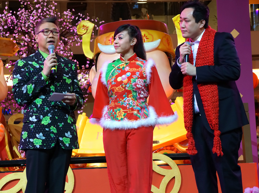 CNY 2013 金蛇賀歲迎新春3393