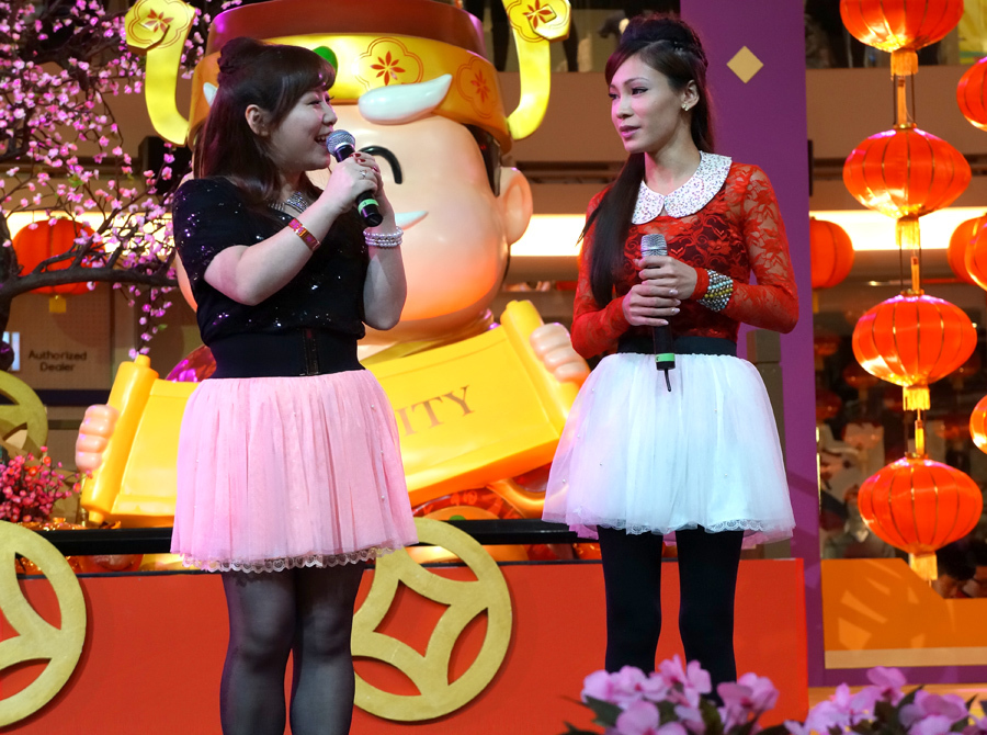 CNY 2013 金蛇賀歲迎新春3406