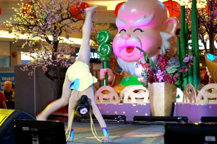 CNY Eve Show 鳳陽鼓舞慶雞年 圖片集7259