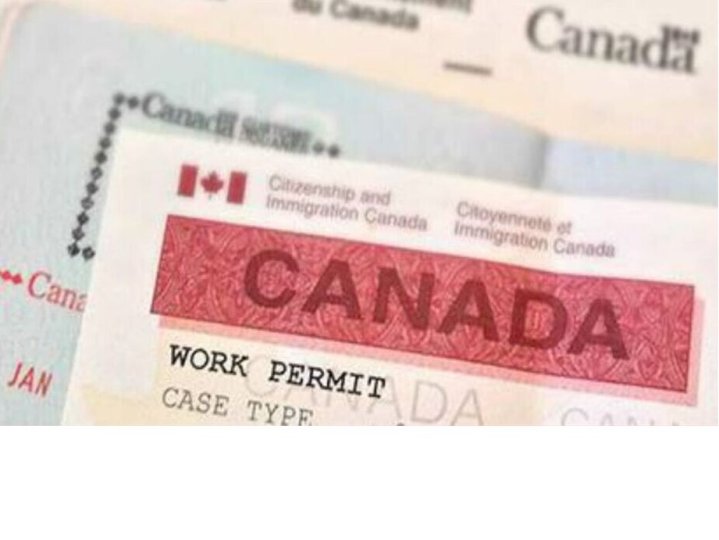 移民部宣布等候永久居留權批核港人可申請三年開放式工作簽證