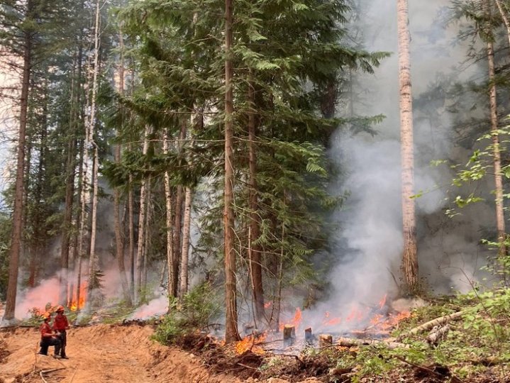 省北部及南部內陸部份地區在剛過去的周末降雨不過BC山火服務處說預測今個星期會回復乾旱狀況