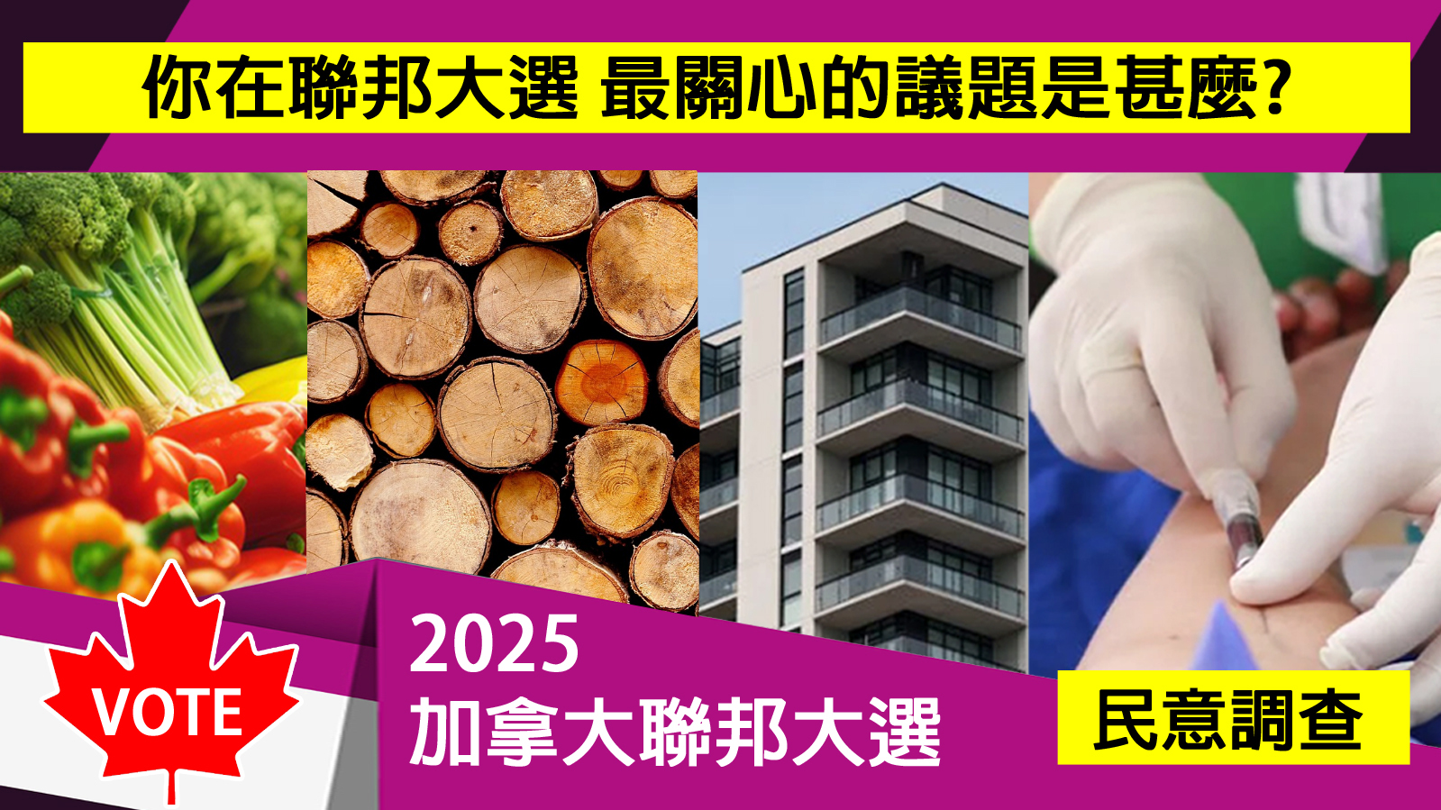 大選關心議題？［已完結］1746054734